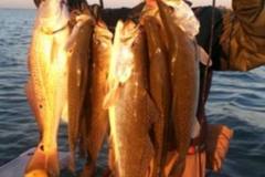 243953759_119902767017270_4544623743891324836_n