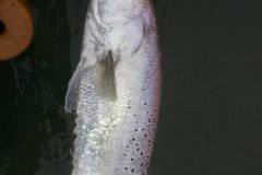 243975191_4457086767709534_6547295271515282565_n