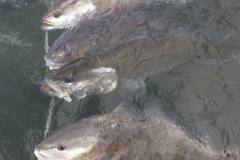 244257999_637084060615631_5514117239955656035_n