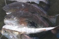 244430931_2015167591970052_1164160493900224577_n